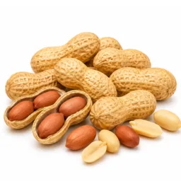 Cacahuète