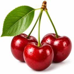 Cerise