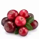Cranberry