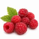 Framboise Sauvage