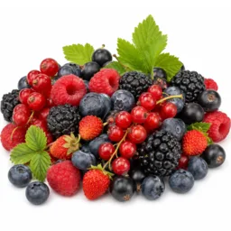 Fruits des Bois