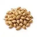 Malt