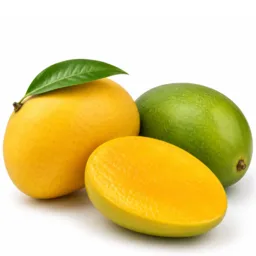 Mangue