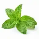 Menthe Blanche