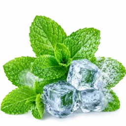 Menthol