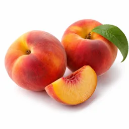 Pêche