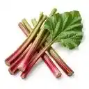 Rhubarbe