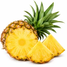 Snack Pine