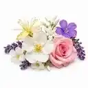 Touche Florale